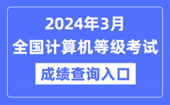 2024年3月全国计算机等级考试