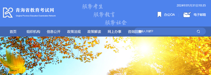 2024年青海省教育考试网高考成绩查询入口（http://www.qhjyks.com/）