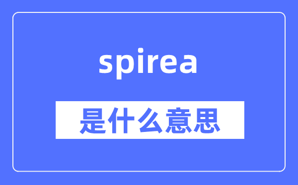 spirea是什么意思,spirea怎么读,中文翻译是什么