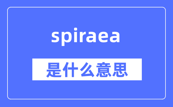 spiraea是什么意思,spiraea怎么读,中文翻译是什么