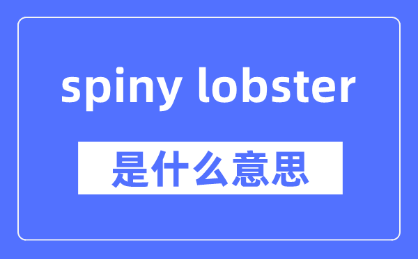 spiny lobster是什么意思,spiny lobster怎么读,中文翻译是什么