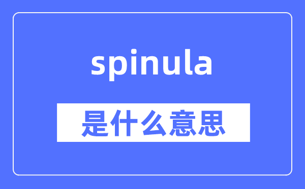 spinula是什么意思,spinula怎么读,中文翻译是什么