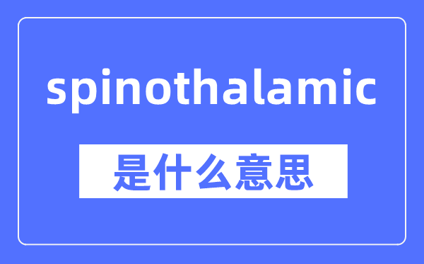 spinothalamic是什么意思,spinothalamic怎么读,中文翻译是什么