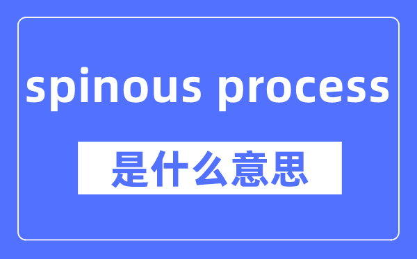 spinous process是什么意思,spinous process怎么读,中文翻译是什么