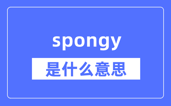 spongy是什么意思,spongy怎么读,中文翻译是什么