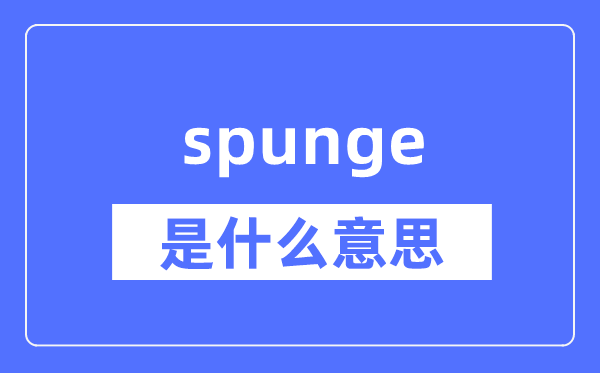spunge是什么意思,spunge怎么读,中文翻译是什么