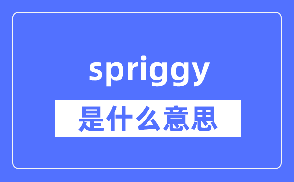 spriggy是什么意思,spriggy怎么读,中文翻译是什么