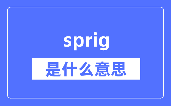 sprig是什么意思,sprig怎么读,中文翻译是什么