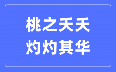 桃之夭夭，灼灼其华是什么意思