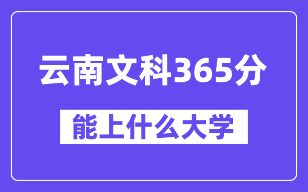 云南文科365分左右能上什么大学？