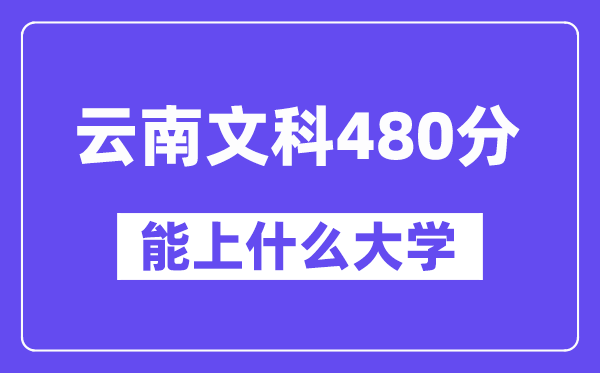 云南文科480分左右能上什么大学？