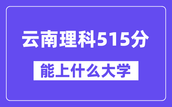 云南理科515分左右能上什么大学？
