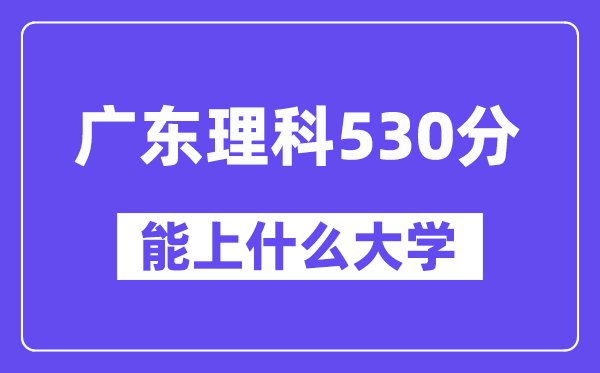 广东理科530分左右能上什么大学？（物理类）