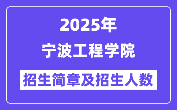 宁波工程学院2025高考招生简章,各省招生计划人数汇总