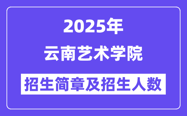云南艺术学院2025高考招生简章,各省招生计划人数汇总