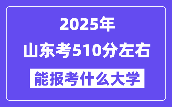 2025年山东考510分左右能报考上什么大学?附位次排名对照表