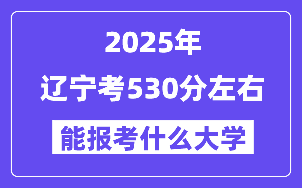 2025年辽宁考530分左右能报考上什么大学?附位次排名对照表