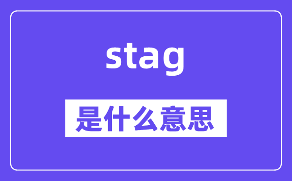 stag是什么意思,stag怎么读,中文翻译是什么
