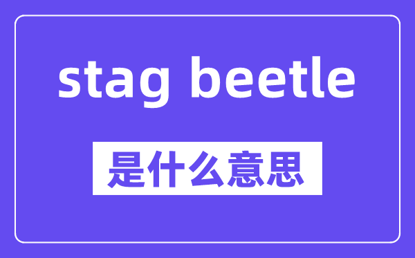 stag beetle是什么意思,stag beetle怎么读,中文翻译是什么