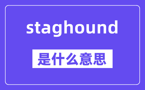 staghound是什么意思,staghound怎么读,中文翻译是什么