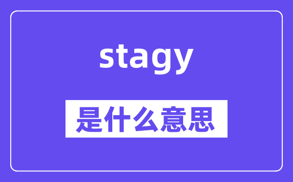 stagy是什么意思,stagy怎么读,中文翻译是什么