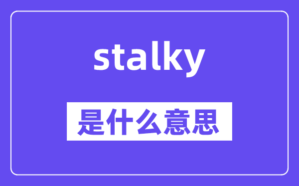 stalky是什么意思,stalky怎么读,中文翻译是什么