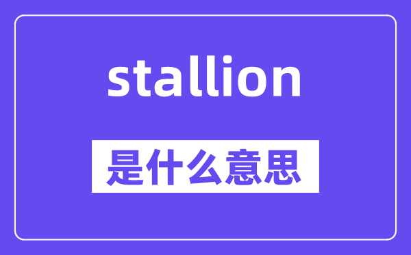 stallion是什么意思,stallion怎么读,中文翻译是什么