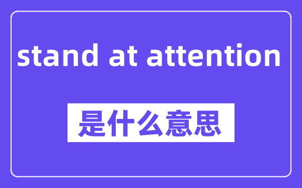 stand at attention是什么意思,stand at attention怎么读,中文翻译是什么