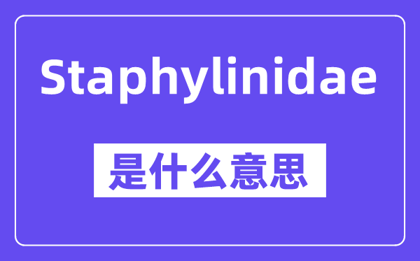 Staphylinidae是什么意思,Staphylinidae怎么读,中文翻译是什么