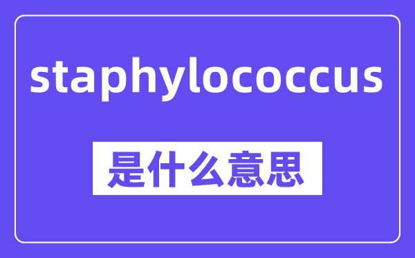 staphylococcus是什么意思,staphylococcus怎么读,中文翻译是什么