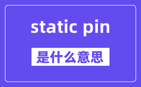 static pin是什么意思,中文翻译是什么