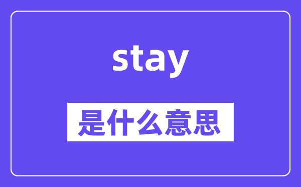 stay是什么意思,stay怎么读,中文翻译是什么