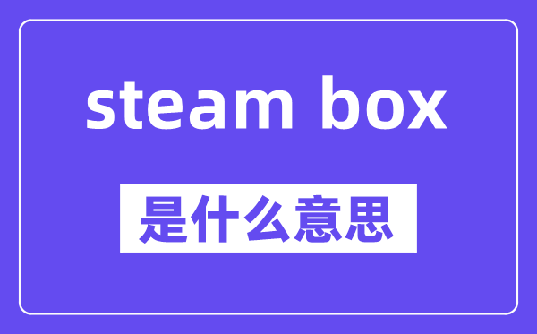steam box是什么意思,中文翻译是什么