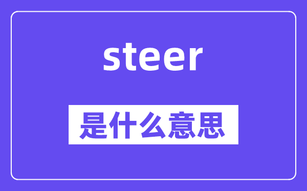 steer是什么意思,steer怎么读,中文翻译是什么