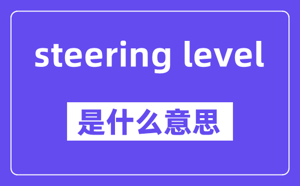 steering level是什么意思,中文翻译是什么