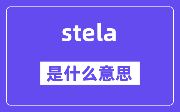 stela是什么意思,stela怎么读,中文翻译是什么