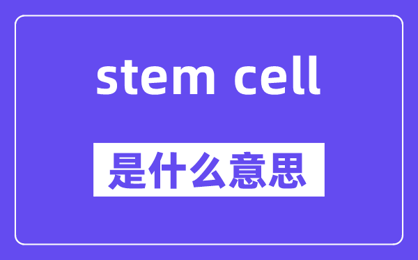 stem cell是什么意思,中文翻译是什么