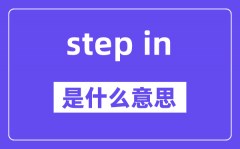 step in和step into的区别是什么