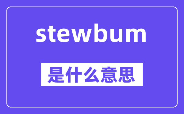 stewbum是什么意思,stewbum怎么读,中文翻译是什么