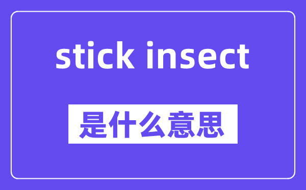 stick insect是什么意思,中文翻译是什么