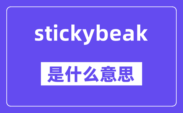 stickybeak是什么意思,中文翻译是什么