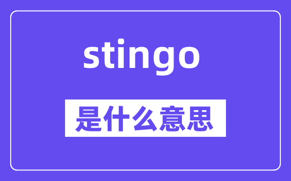 stingo是什么意思,stingo怎么读,中文翻译是什么