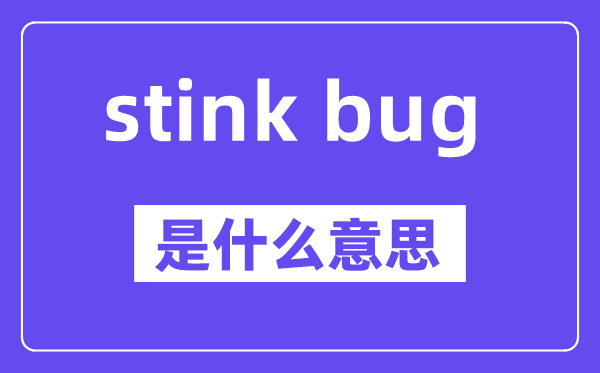 stink bug是什么意思,中文翻译是什么
