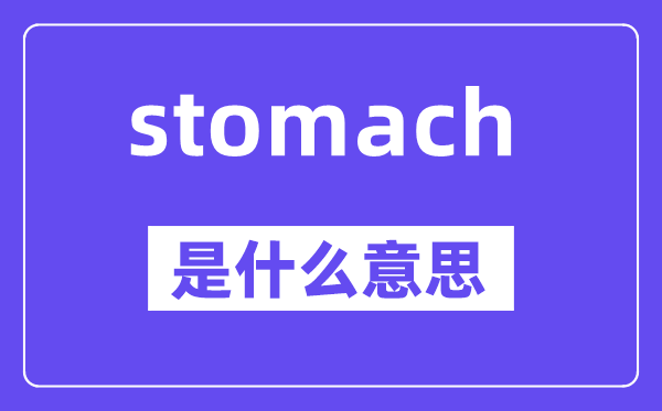 stomach是什么意思,stomach怎么读,中文翻译是什么