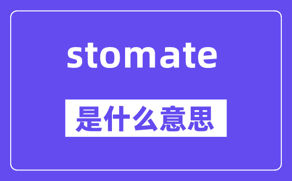stomate是什么意思,stomate怎么读,中文翻译是什么