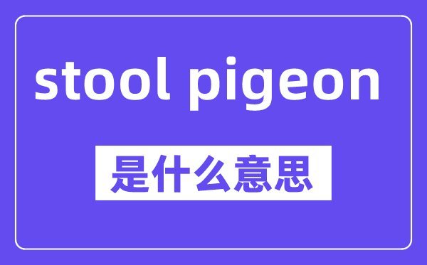stool pigeon是什么意思,中文翻译是什么