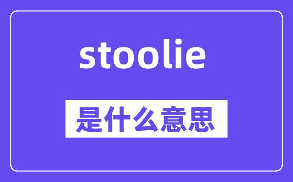 stoolie是什么意思,stoolie怎么读,中文翻译是什么