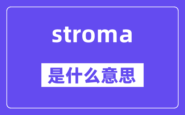 stroma是什么意思,stroma怎么读,中文翻译是什么