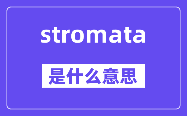 stromata是什么意思,stromata怎么读,中文翻译是什么