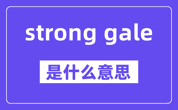 strong gale是什么意思,中文翻译是什么